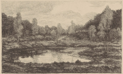 Ven, Boschmeer, print, Around the fen trees., printmaker: Gerarda Wilhelmina ten Hoet (signed by