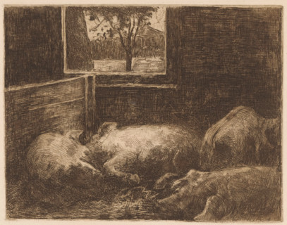 Pigs in a stable, print, printmaker: Eduard Karsen (signed by artist), 1870 - 1941, paper, etching,
