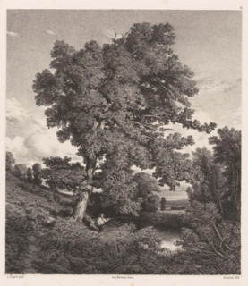 Landscape with fisherman under an oak, Souvenir de Sologne, Contemporary artists, Les artistes