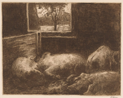 Pigs in a stable, print, printmaker: Eduard Karsen (signed by artist), 1870 - 1941, paper, etching,