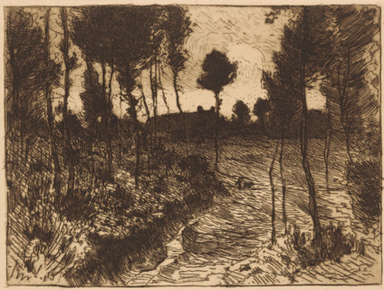 Forest path at evening, print, printmaker: Anton L. Koster, 1869 - 1937, paper, etching, intaglio