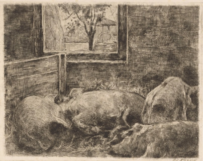 Pigs in a stable, print, printmaker: Eduard Karsen (signed by artist), 1870 - 1941, paper, Japanese
