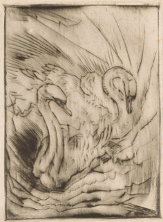 Two swans, print, printmaker: Willem van Konijnenburg, printer (person): Henri van der Stok, 1878 -