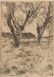 Two pollard willows in front of a fence, print, Houses in the background., printmaker: Pieter