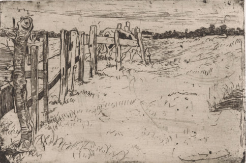 Grazing cow by a fence in a meadow, print, printmaker: Pieter Dupont, North Holland, 1895, paper,