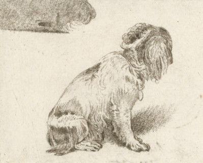 Sitting dog, print, inscription: '2 proef FvMieris del PvAmstel JC. F: 1775', printmaker: Cornelis