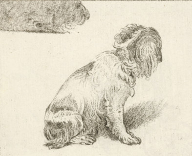 Sitting dog, print, printmaker: Cornelis Brouwer, after drawing by Frans van Mieris, publisher: