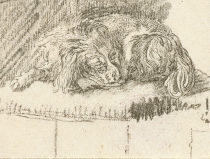 Lying dog, print, printmaker: Cornelis Brouwer, after drawing by Frans van Mieris, 1777, Cornelis