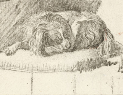 Lying dog, print, printmaker: Cornelis Brouwer, after drawing by Frans van Mieris, publisher: