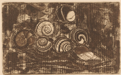Seven shells, print, Text fragments in the background., printmaker: Reijer Stolk (signed by