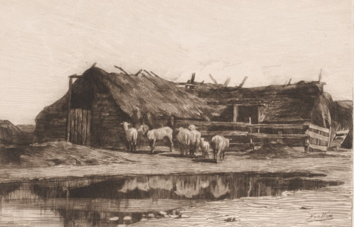 Drenthe sheepfold, print, inscription: 'distel 1886', printmaker: Nicolaas van der Waay, 1865 -