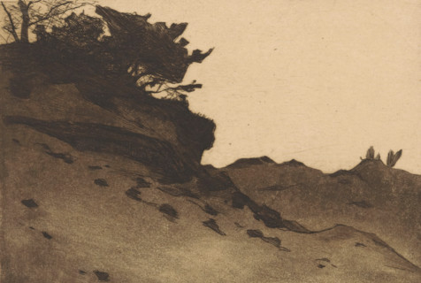 Shrubs on a sand drift, print, signature: 'Witsen', printmaker: Willem Witsen (signed by artist), c