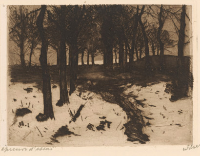Landscape with trees in Ewijkshoeve, print, signature: 'Witsen', printmaker: Willem Witsen (signed