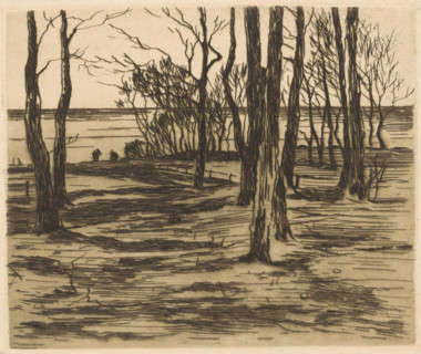 Trees by the waterside in Valkeveen, print, printmaker: Willem Witsen, Amsterdam, c. 1913, paper,