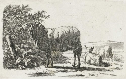 Landscape with three sheep, print, printmaker: Simon van den Berg, Netherlands, 1822 - 1899, paper,