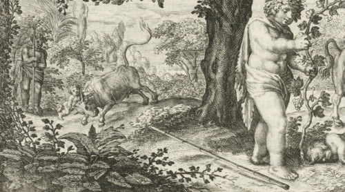 Bacchus and Ampelus, print, book illustration, Bacchus' favorite Ampelus is killed in a fall from a