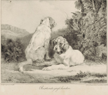 Resting hunting dogs, print, One dog sits with its back to the viewer, the second dog lies on the