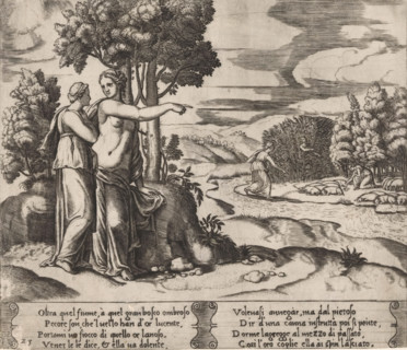 Psyche goes to look for the golden wool, Story of Amor and Psyche, print, Series number, 23, 32,