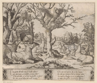 Phoenix, print, A self-immolating phoenix in a tree, surrounded by other animals including bears,