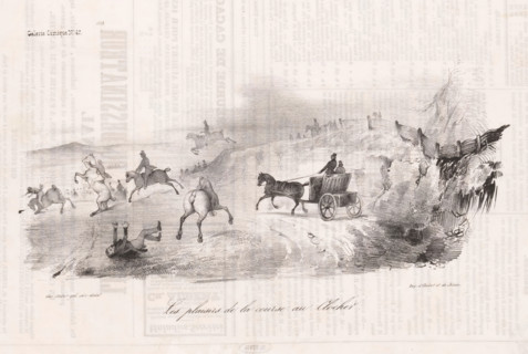 The fun of the horse race, Horse race in the field, Comic events from everyday life, Comic gallery,