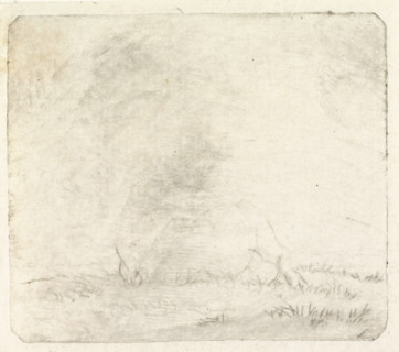 Lying cow, from the front, print, Faint print., printmaker: Pieter Janson, 1780 - 1851, inorganic