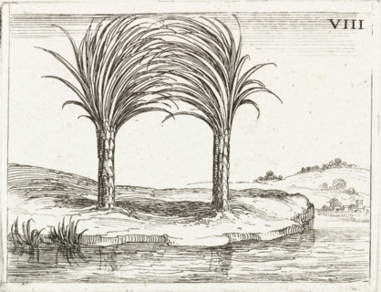 Two palm trees, Life of Mary in emblems, print, cognizance, Series number, 8, 26, Representation of