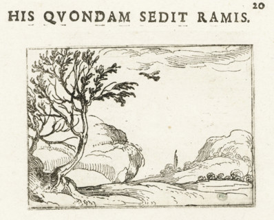 Dove in the desert, His quondam sedit ramis, Life of Mary in Emblems, print, cognizance, Series