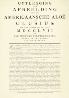 Explanation of the print of the flowering American Aloe, 1757, Explanation of the Illustration of