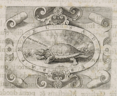 Turtle in a cartouche, print, book illustration, A cartouche with a turtle in a landscape and the