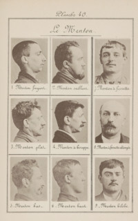 Nine male heads, arranged according to the shape of their chin, Le Menton, page, photomechanical