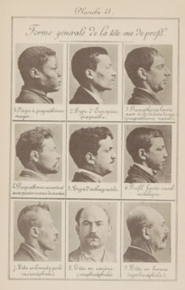 Forme générale de la tête vue de profil, Nine men's heads, arranged according to the shape of their