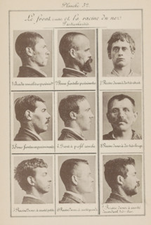 Le Front (suite) et la racine du nez. Particularités, Nine men's heads, arranged according to the