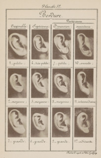Twelve images of ears, arranged by shape, Bordure., page, photomechanical print, number: 'Planche