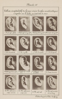 Sixteen images of ears, arranged by shape, Tableau récapitulatif des formes sériées les plus
