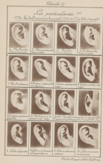 Sixteen images of ears, arranged by shape, Les particularités (a), page, photomechanical print,