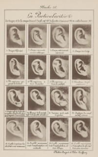 Sixteen images of ears, arranged by shape, Les particularités (b), page, photomechanical print,