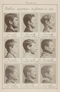 Nine male heads in side view, arranged according to the shape of their noses, Tableau synoptique
