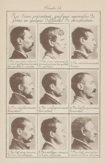 Nine male heads in side view, arranged according to the shape of their noses, Nez diverse present
