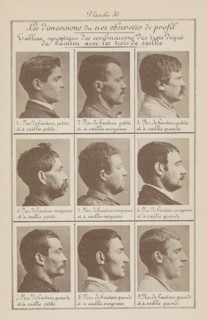 Les dimensions du nez observées de profil, Nine men's heads in side view, arranged according to the