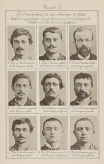 Les dimensions du nez observées de face., Nine male heads in front view, arranged according to the