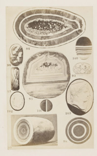 Eleven geodes and cameos, photograph, page, number: '93 - 103', photographer: F. Cole, c. 1857 - in