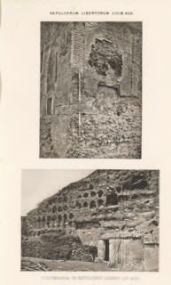 Columbaria in sepulchro libert. liv. Aug., Two views of probably the columbarium of the Vigna