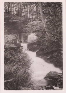 Waterfall in Fairy Dell, page, photomechanical print, c. 1890 - c. 1900, paper, collotype,