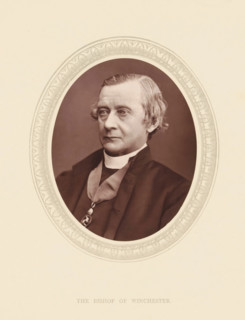 The bishop of Winchester, page, photomechanical print, photographer: Lock & Whitfield, cliché