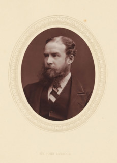 Sir John Lubbock, page, photomechanical print, photographer: Lock & Whitfield, cliché maker:
