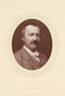 Dr. Schliemann, page, photomechanical print, photographer: Lock & Whitfield, cliché maker:
