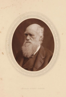 Charles Robert Darwin, page, photomechanical print, photographer: Lock & Whitfield, cliché maker:
