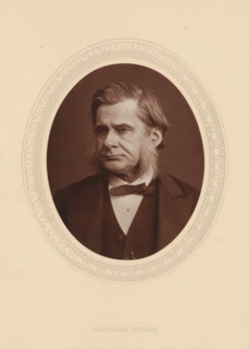 Professor Huxley, page, photomechanical print, photographer: Lock & Whitfield, cliché maker: