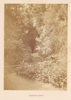 Shanklin Chine, photograph, page, photographer: William Russell Sedgfield, Shanklin, c. 1859 - in