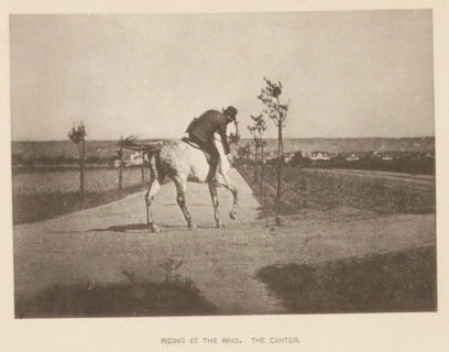 Man riding a horse at a gallop, Riding at the ring. The canter, page, photomechanical print, cliché